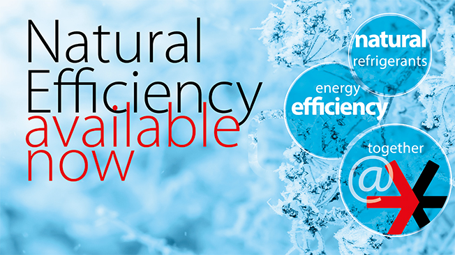 Natural efficiency, available now