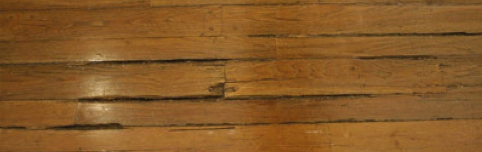 The Materials Used In Artworks And Their Reactions To Fluctuations Wood
